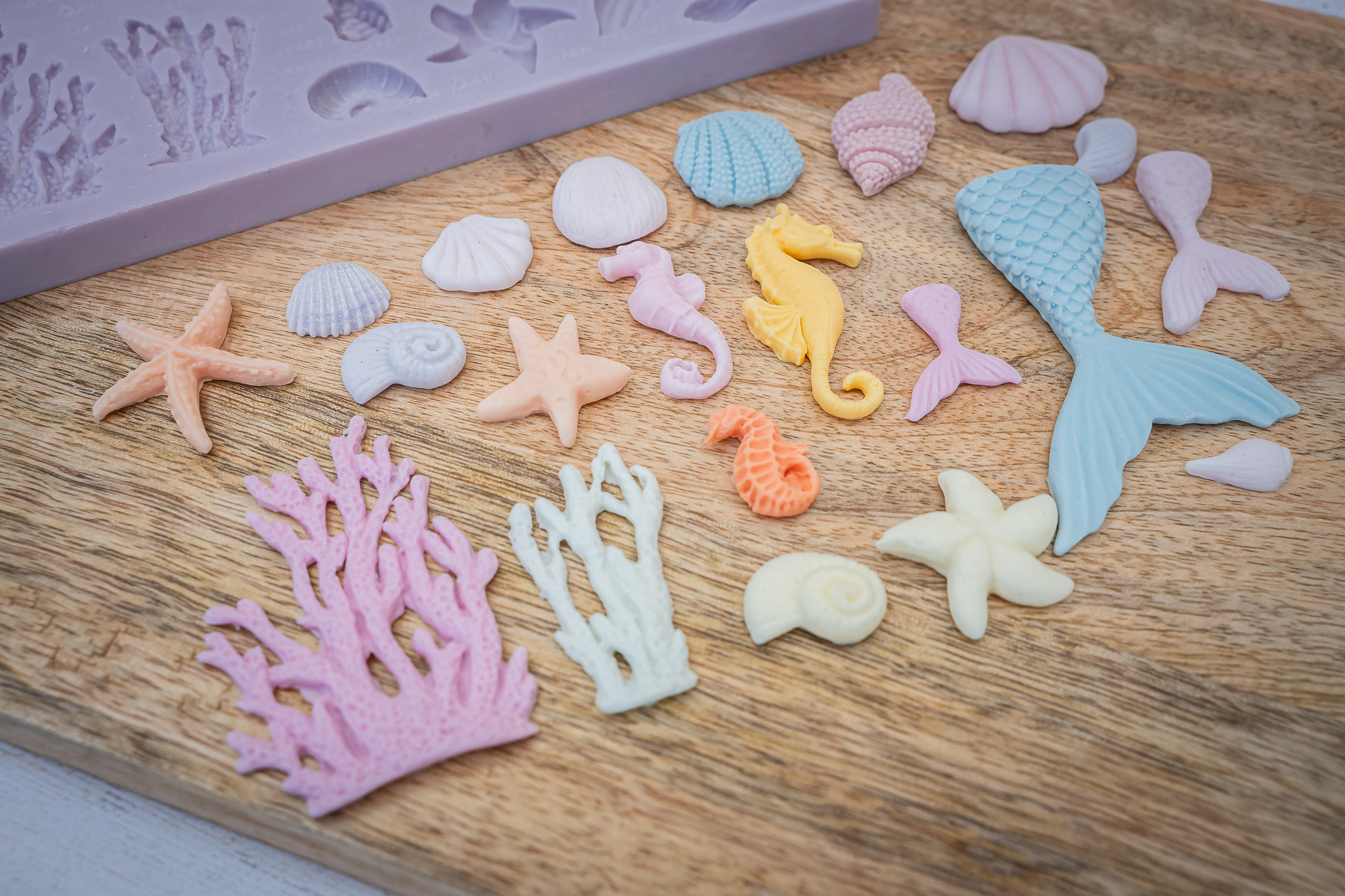 Under The Sea Silicone Mould
