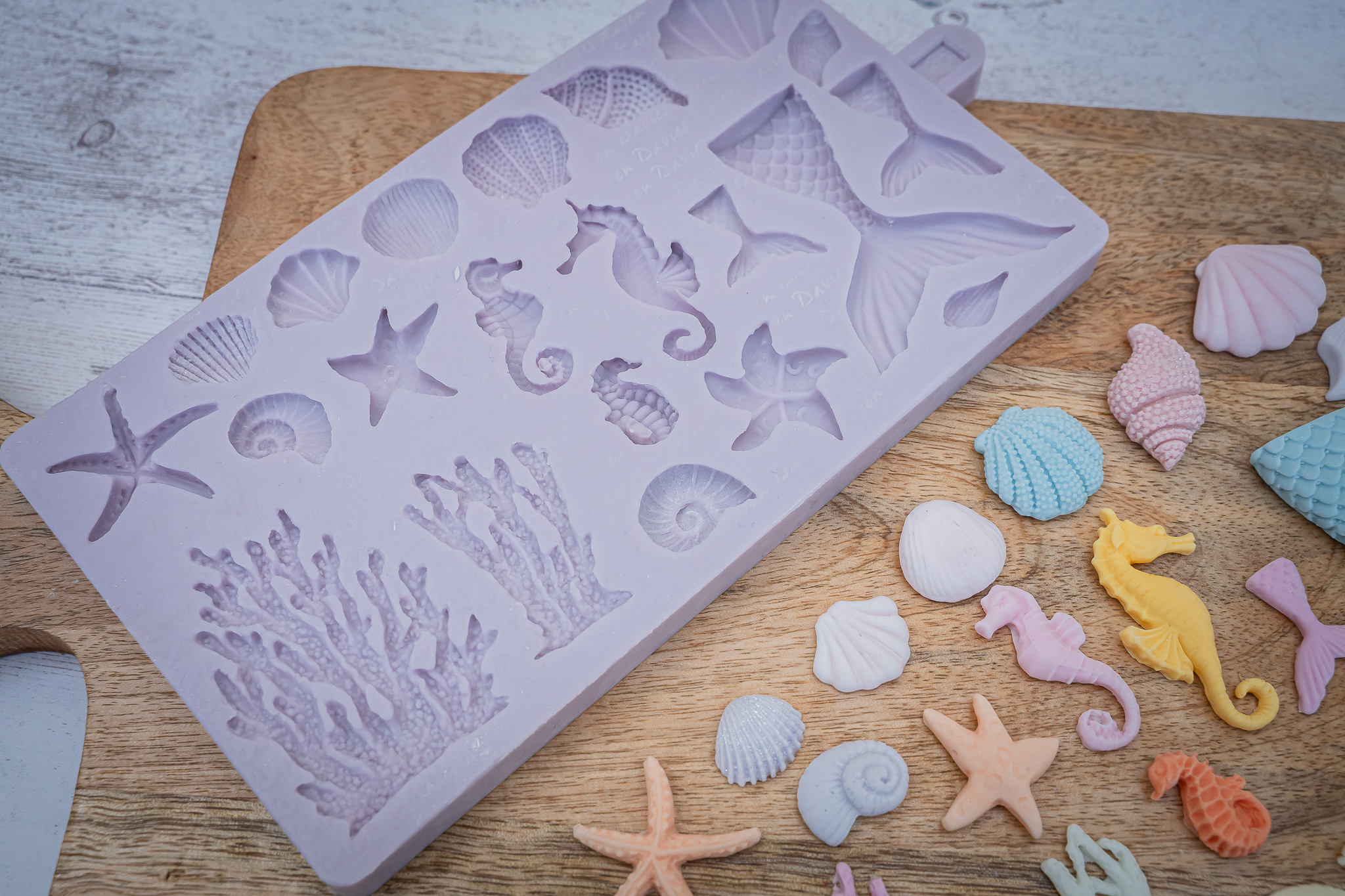 Under The Sea Silicone Mould