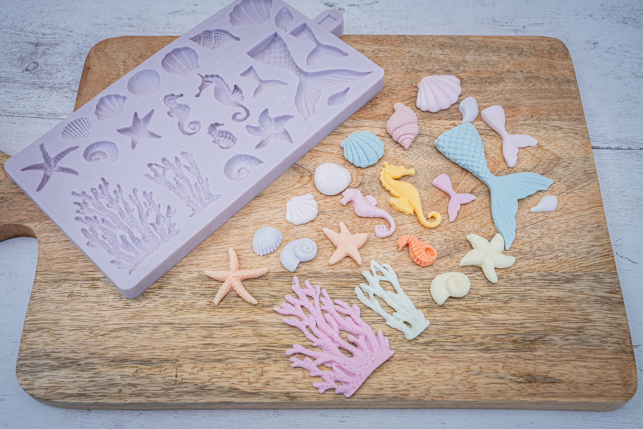 Under The Sea Silicone Mould