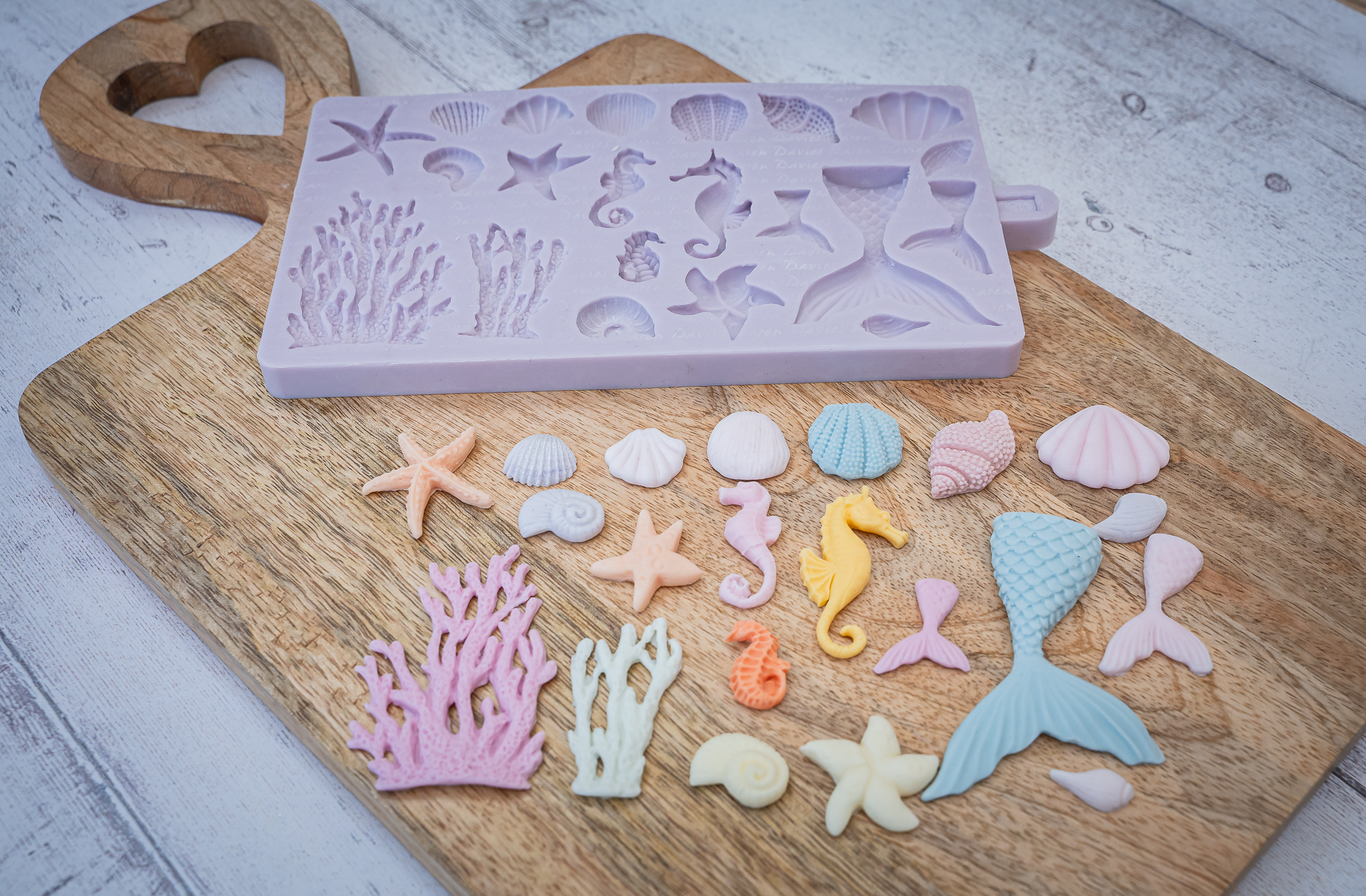 Under The Sea Silicone Mould