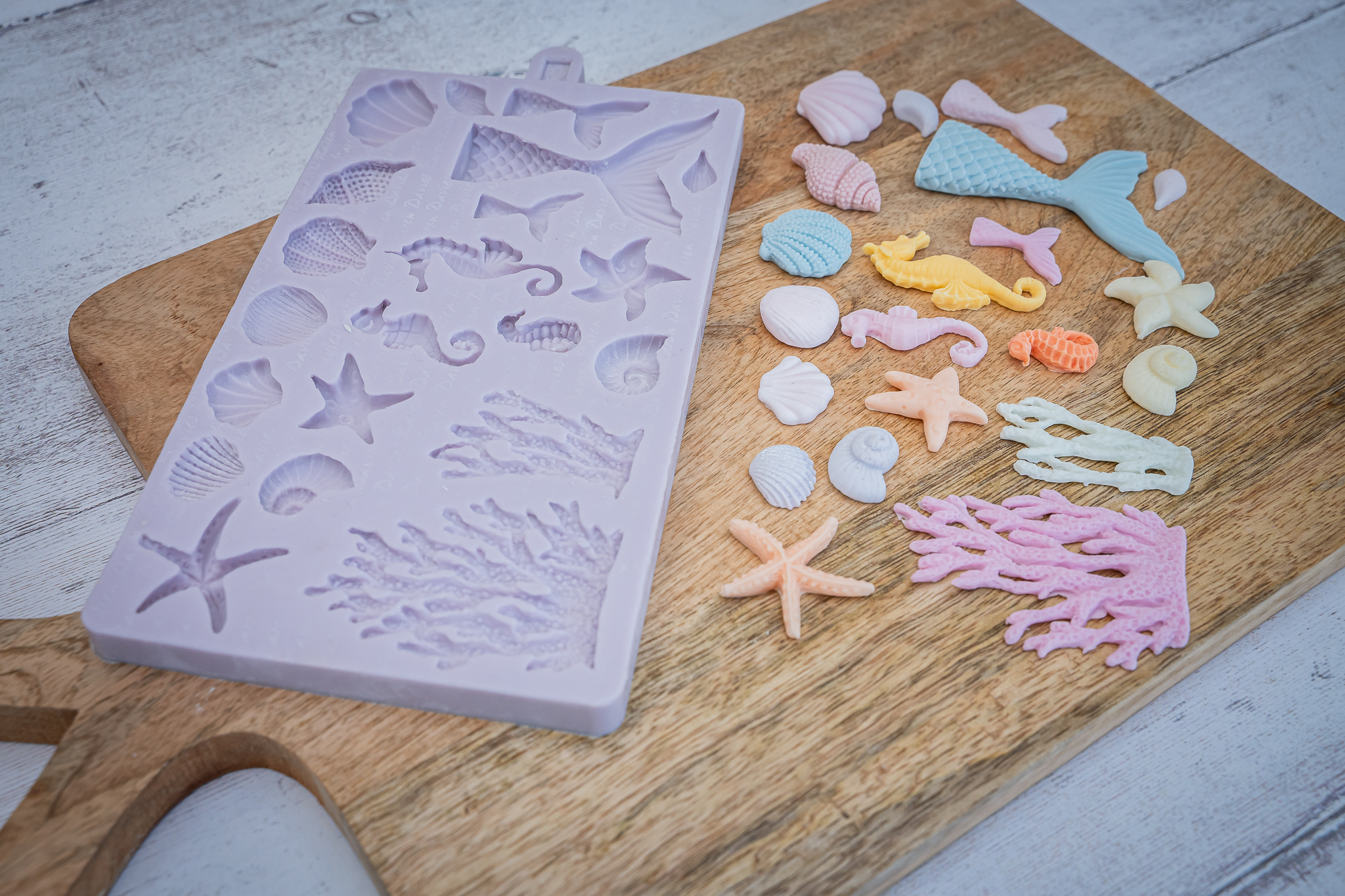 Under The Sea Silicone Mould