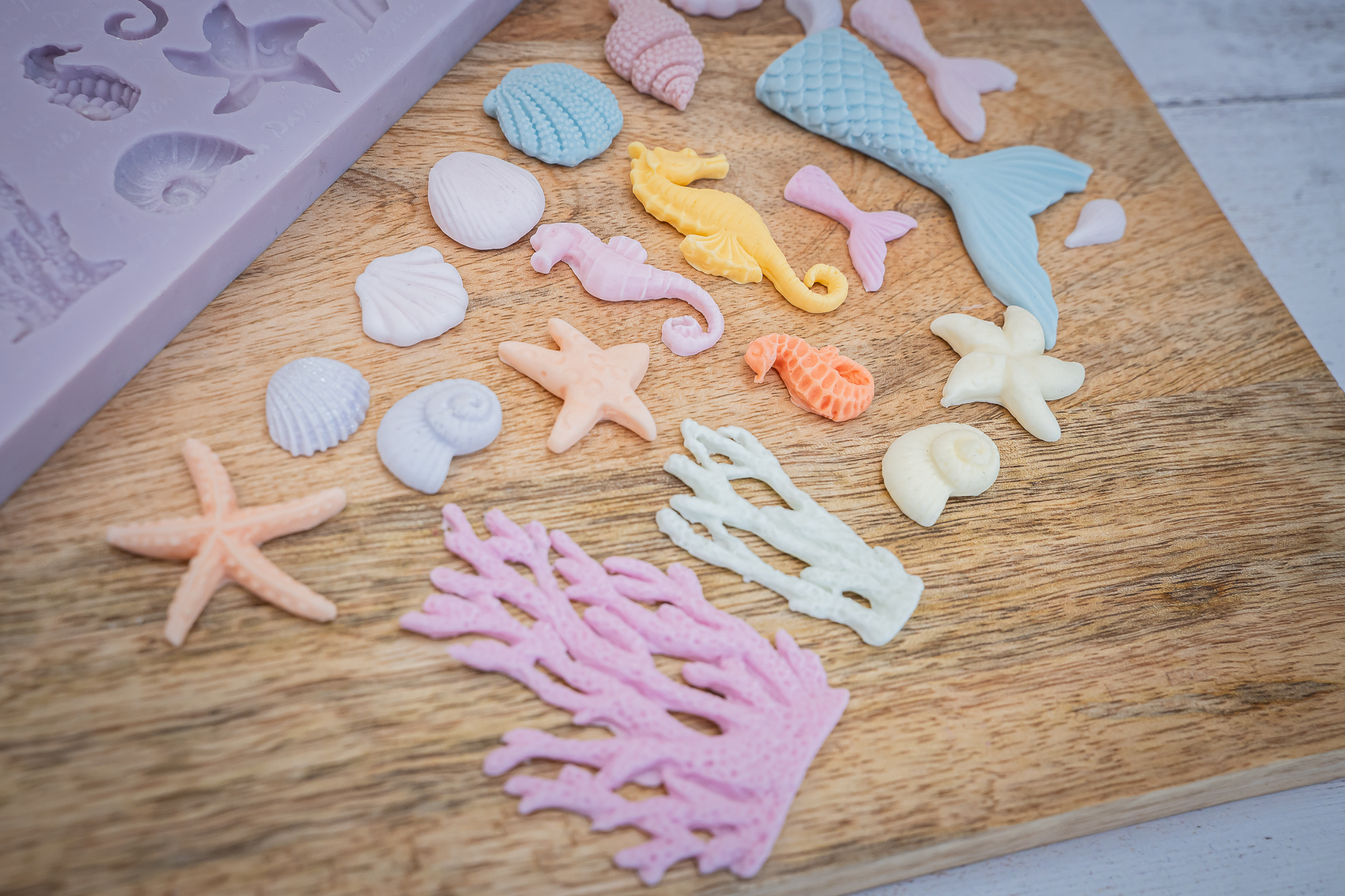 Under The Sea Silicone Mould