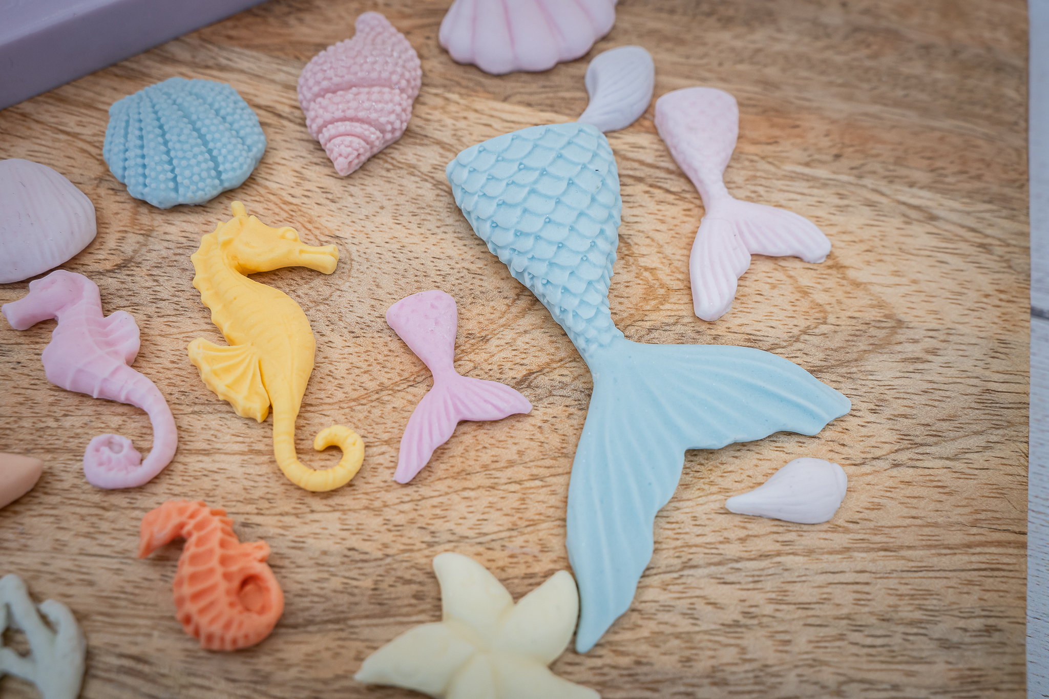 Under The Sea Silicone Mould