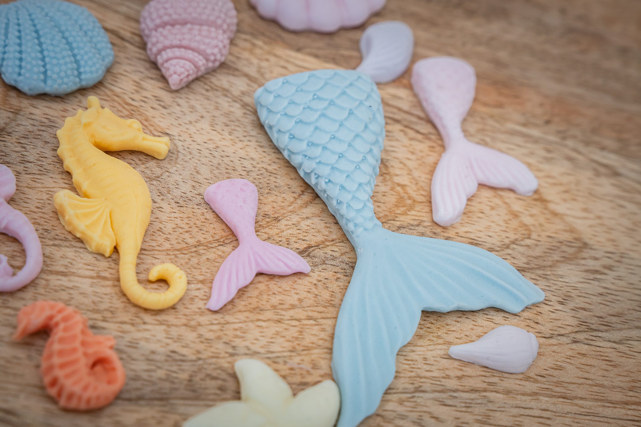 Under The Sea Silicone Mould