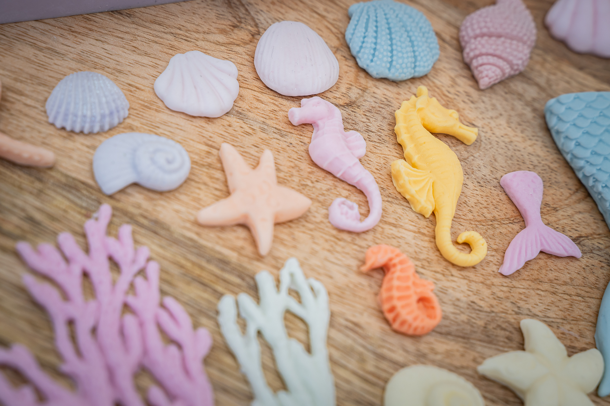 Under The Sea Silicone Mould