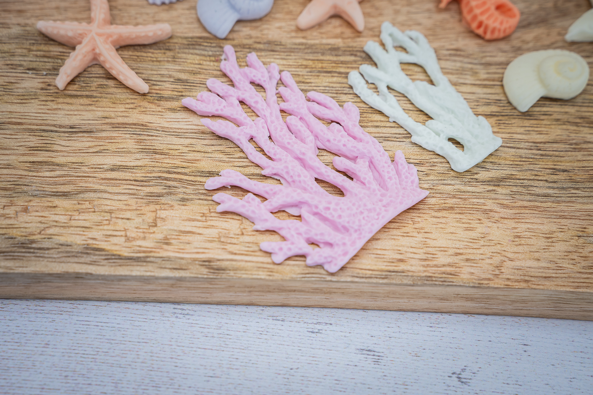 Under The Sea Silicone Mould