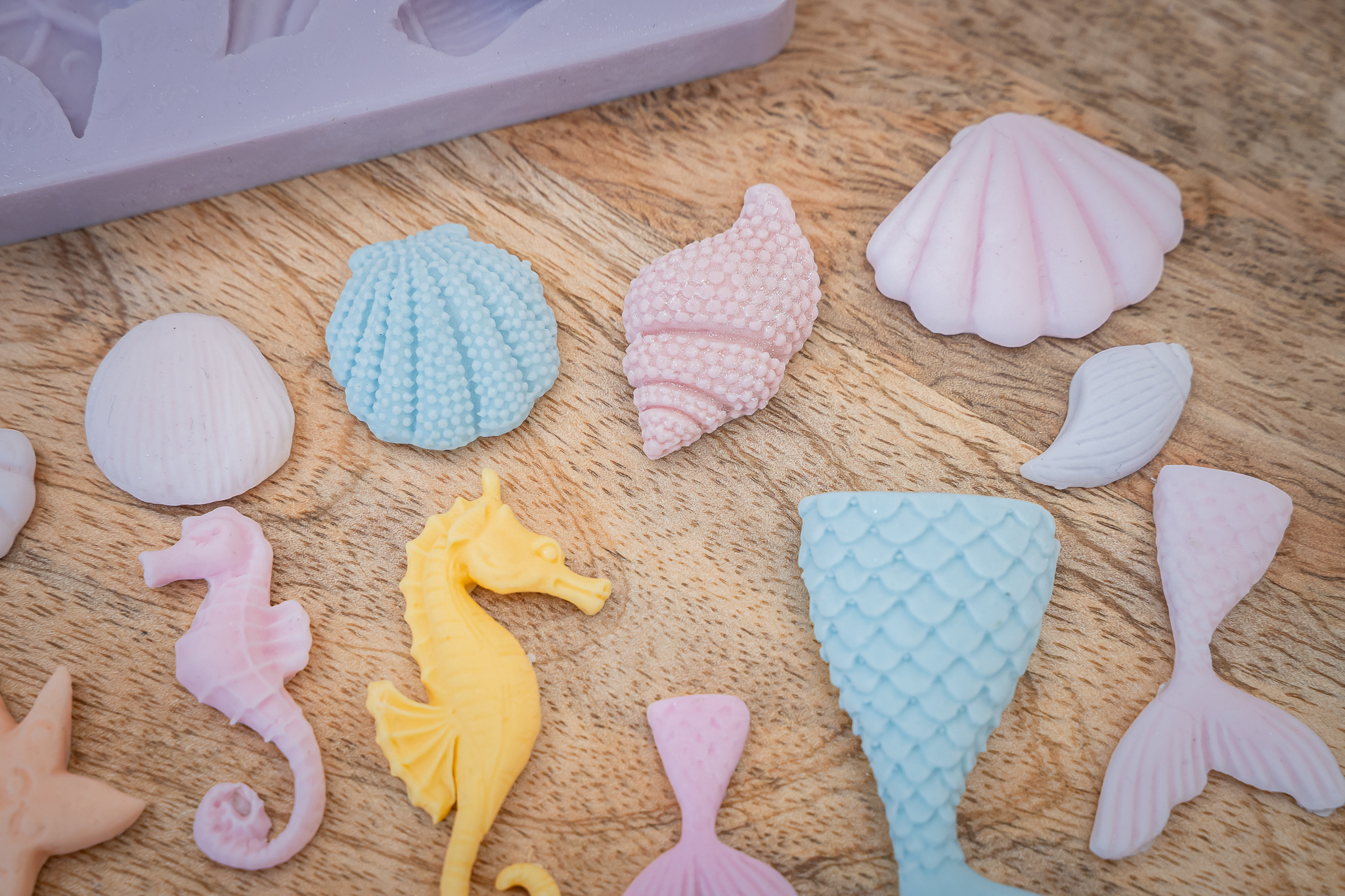 Under The Sea Silicone Mould