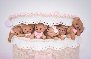 Build A Teddy Mould Build A Teddy Mould