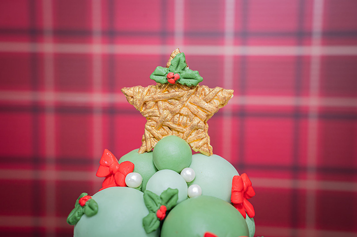 Wicker Stars Silicone Mould