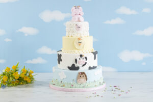 Farm Faces Mould Set