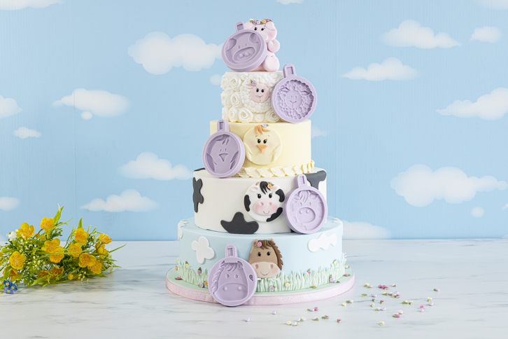 Farm Faces Mould Set