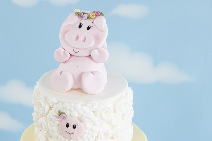 Pig - Farm Face Mould