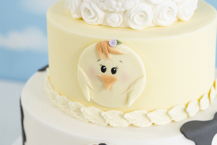 Chick - Farm Faces Silicone Mould