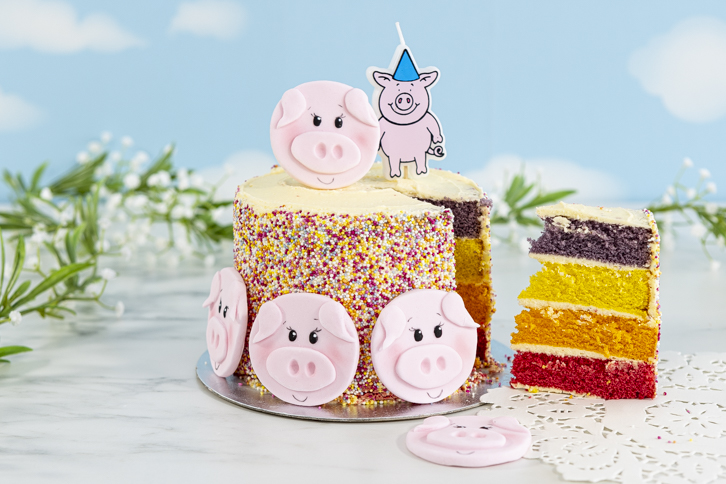 Pig - Farm Face Mould