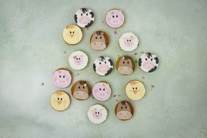 Horse - Farm Faces Silicone Mould - Image 11