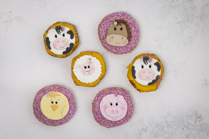 Farm Faces Mould Set