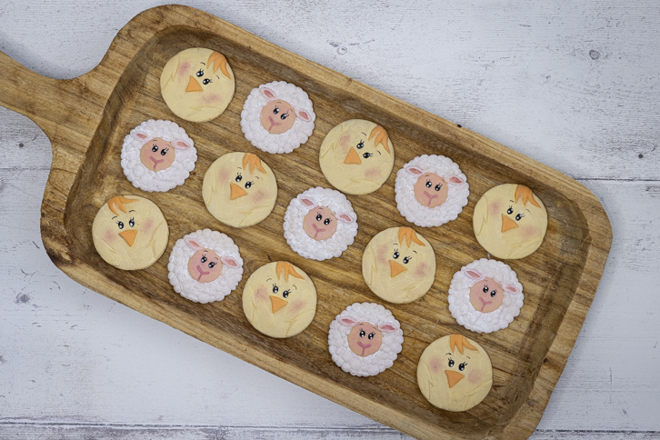 Chick - Farm Faces Silicone Mould - Image 14