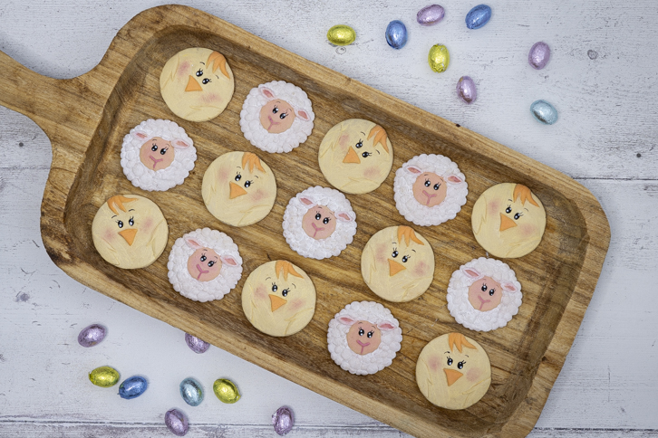 Sheep - Farm Faces Silicone Mould - Image 20