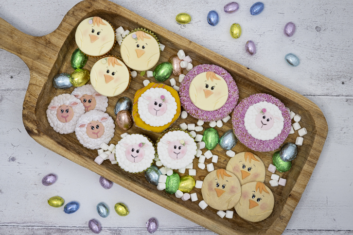 Sheep - Farm Faces Silicone Mould - Image 12