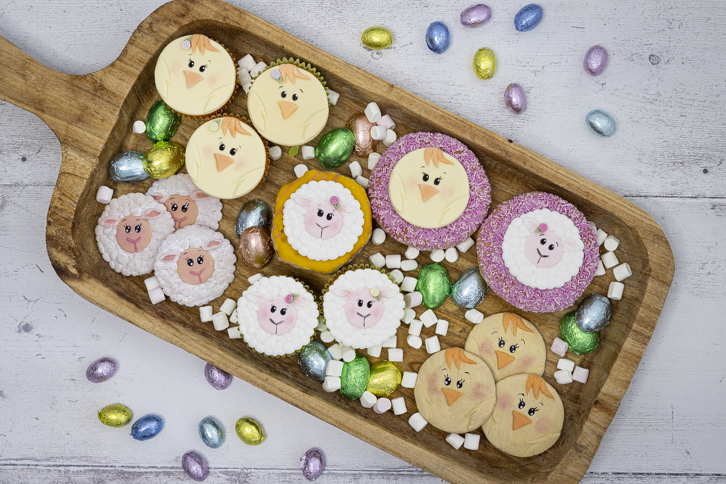 Sheep - Farm Faces Silicone Mould - Image 13