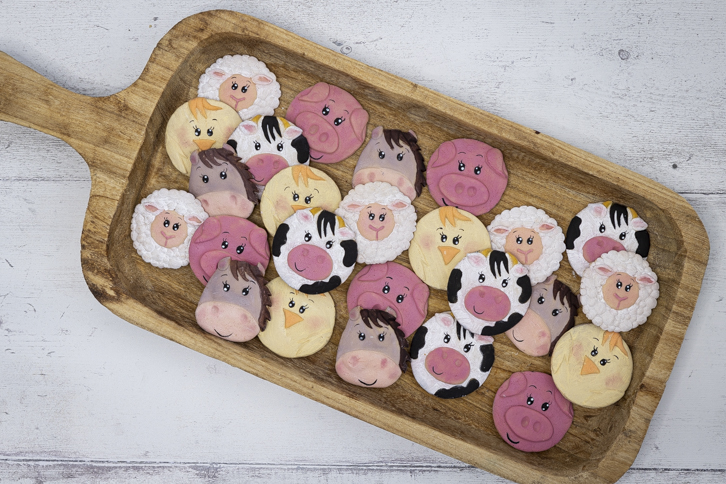 Farm Faces Mould Set