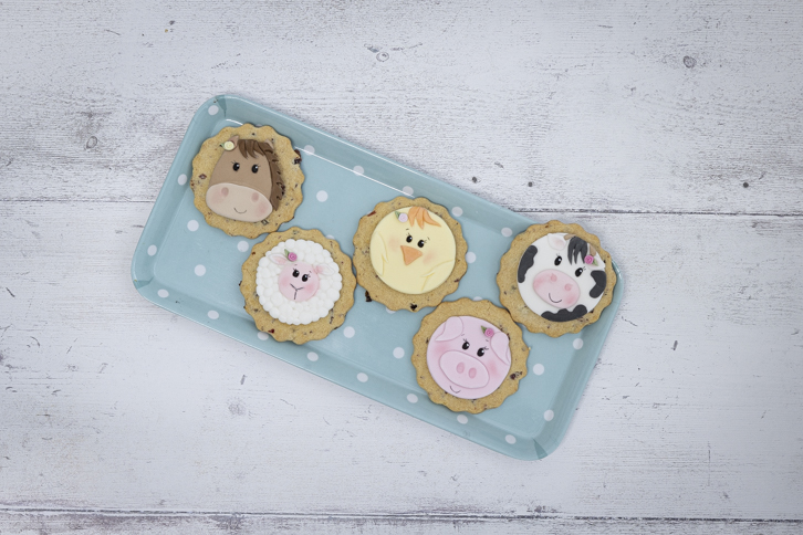 Farm Faces Mould Set