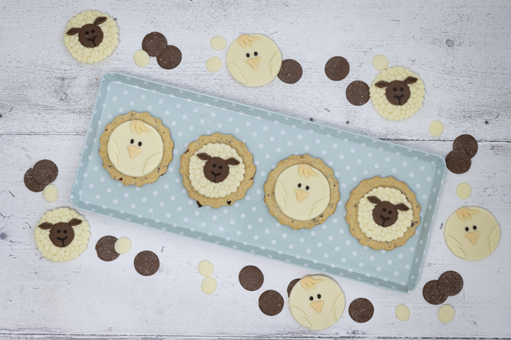 Sheep - Farm Faces Silicone Mould - Image 24