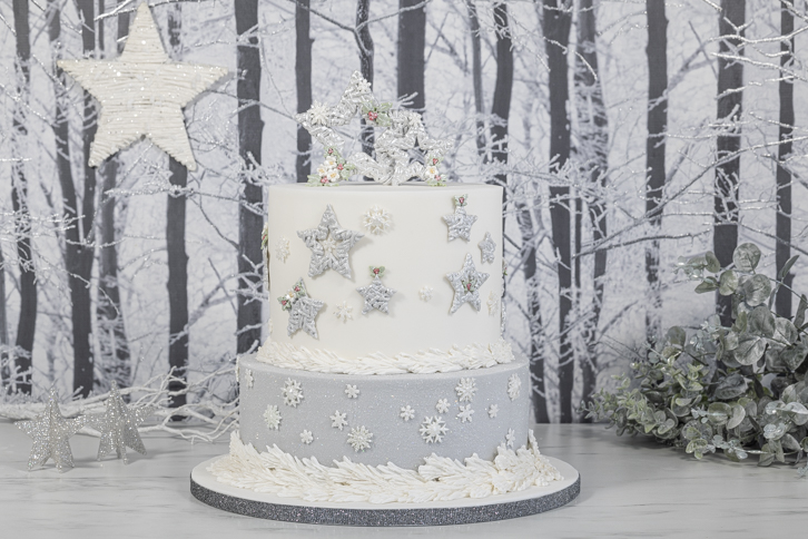 Wicker Stars Silicone Mould