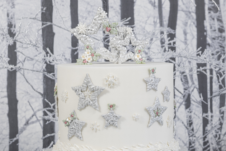 Wicker Stars Silicone Mould