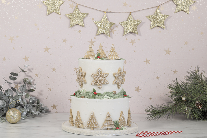 Snowflakes & Christmas Trees Mould