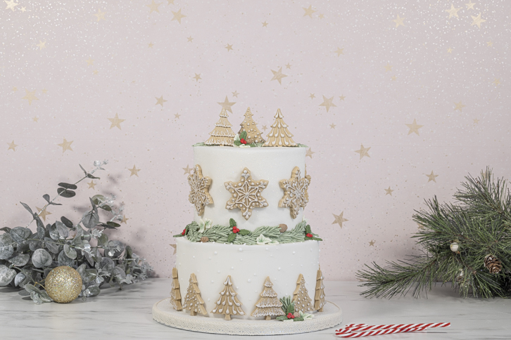 Snowflakes & Christmas Trees Mould