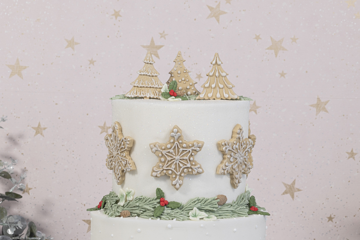 Snowflakes & Christmas Trees Mould