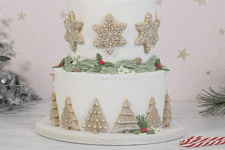 Snowflakes & Christmas Trees Silicone Mould - Image 11