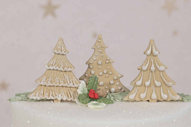 Snowflakes & Christmas Trees Mould