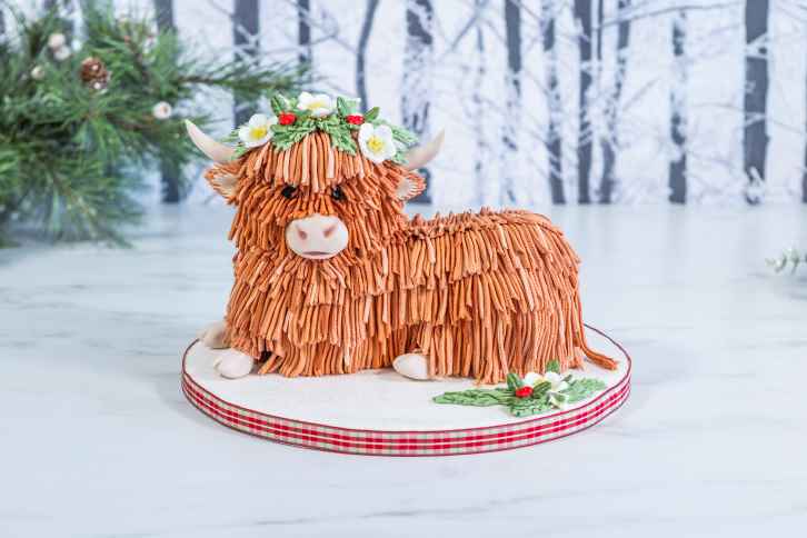 Fringe Silicone Mould