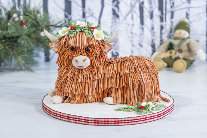 Fringe Silicone Mould