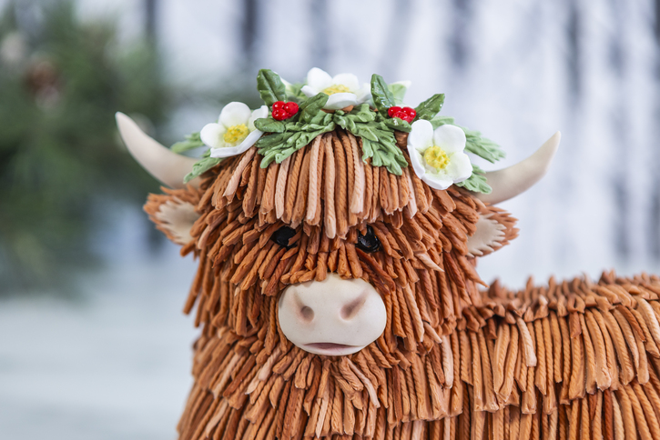 Fringe Silicone Mould