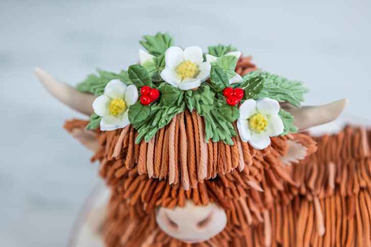 Fringe Silicone Mould