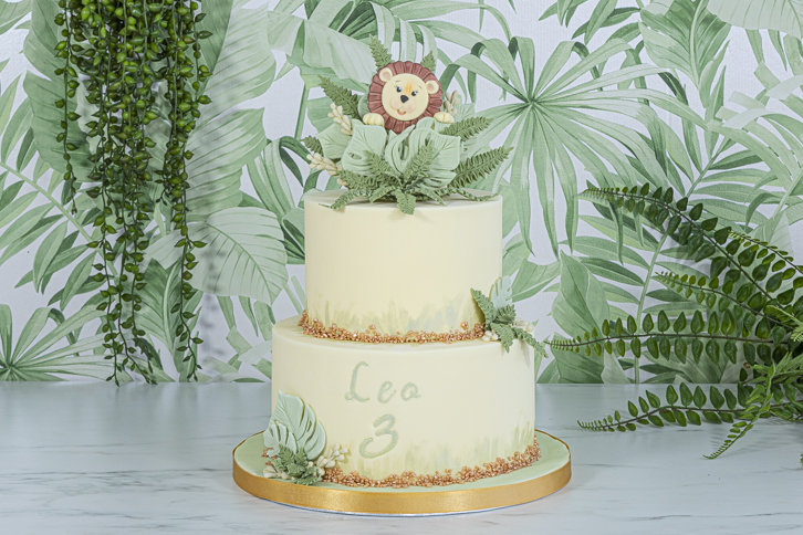 Lion - Safari Animal Faces