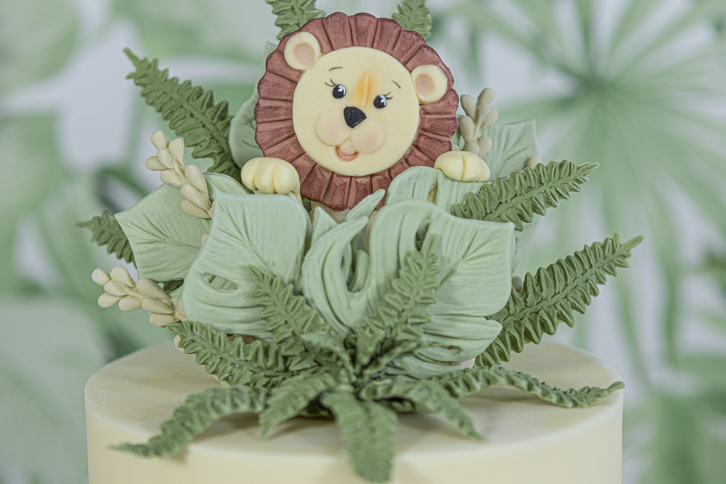 Lion - Safari Animal Faces