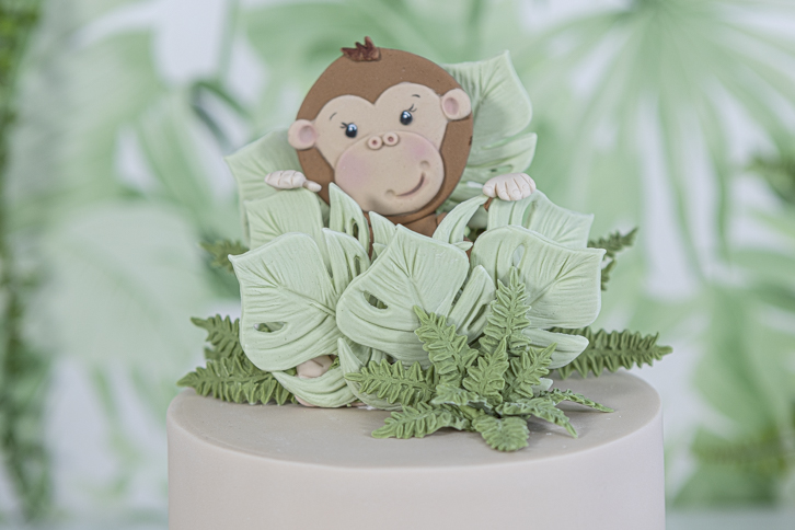 Monkey - Safari Animal Faces