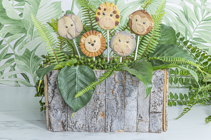 Safari Animal Faces - FULL SET